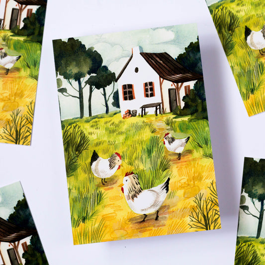 Pohlednice — Farmářské kuře
