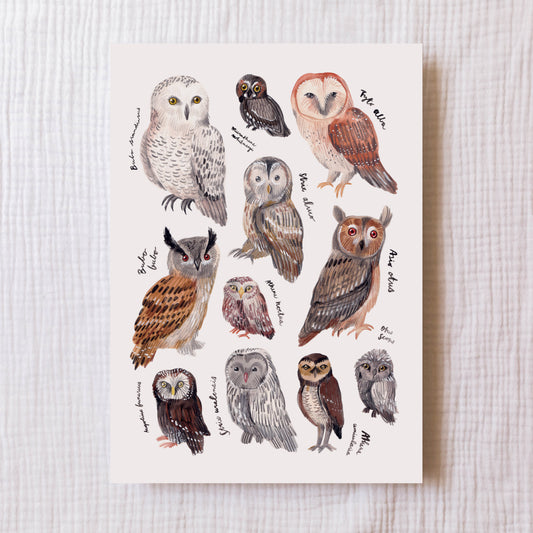 Umělecký tisk — V údolí