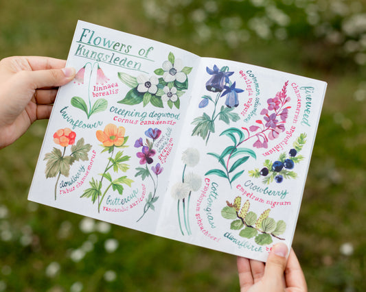 Travel Zine — Under The Midnight Sun