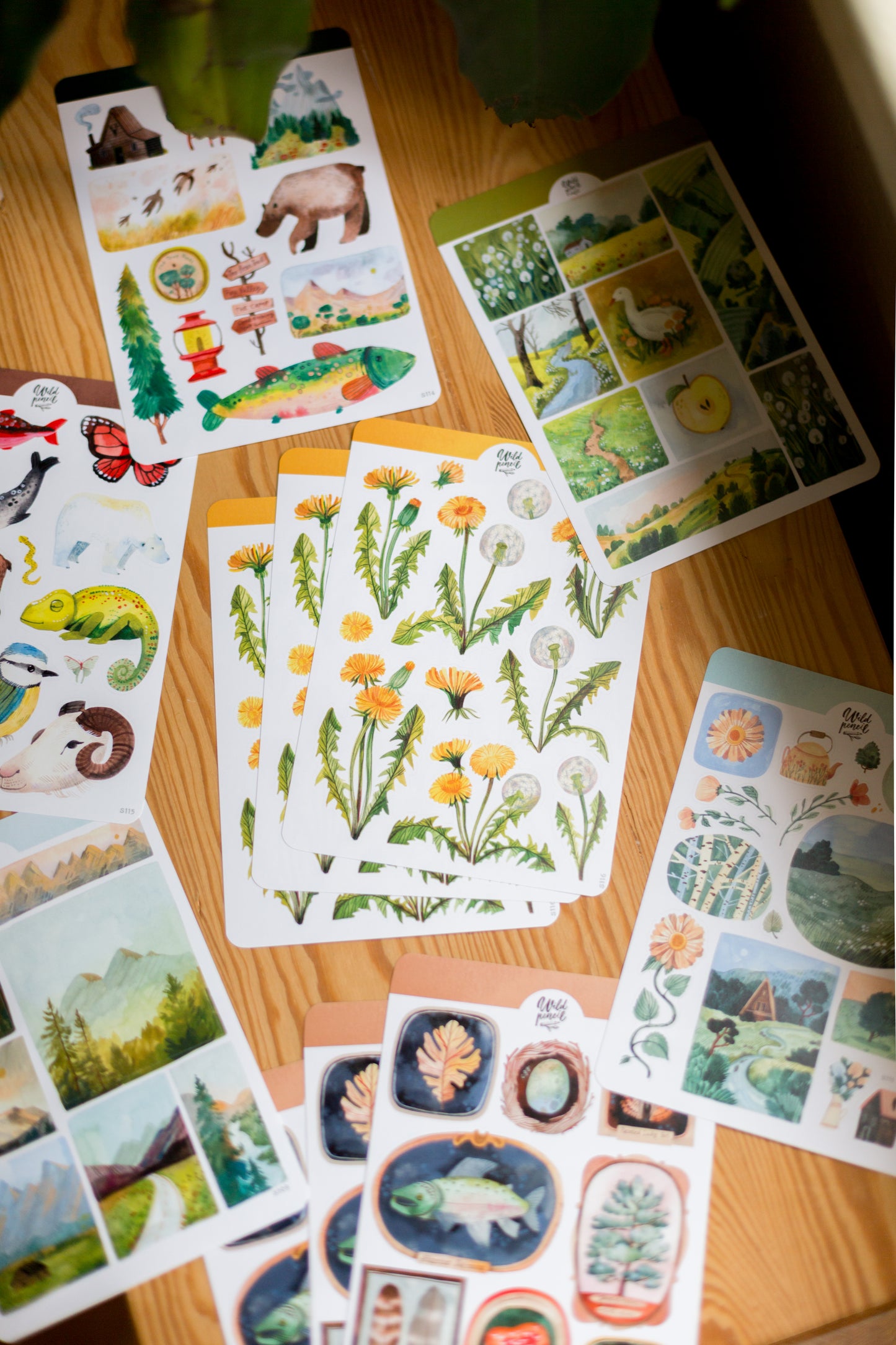 Sticker Sheet — Outdoor Adventures