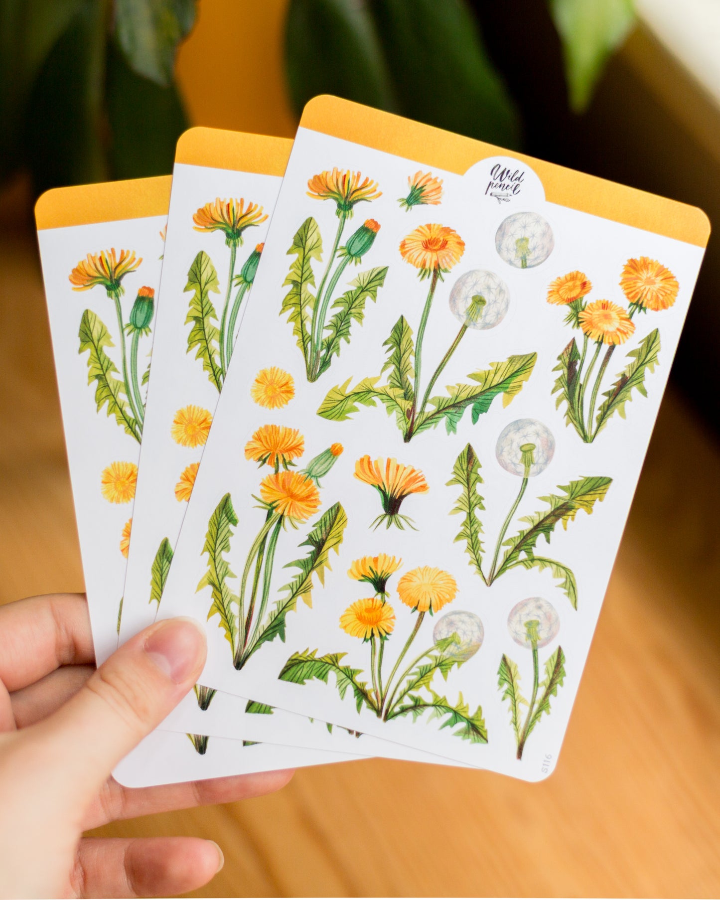 Samolepkový arch — Pampelišky