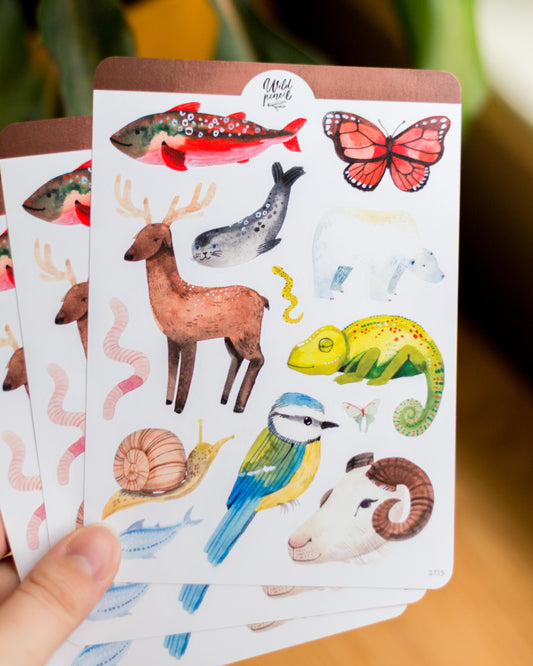 Arch s nálepkami — Sovy