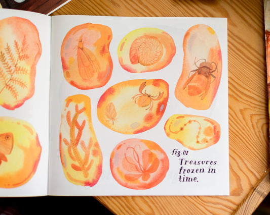 Zine — The Midnight Museum