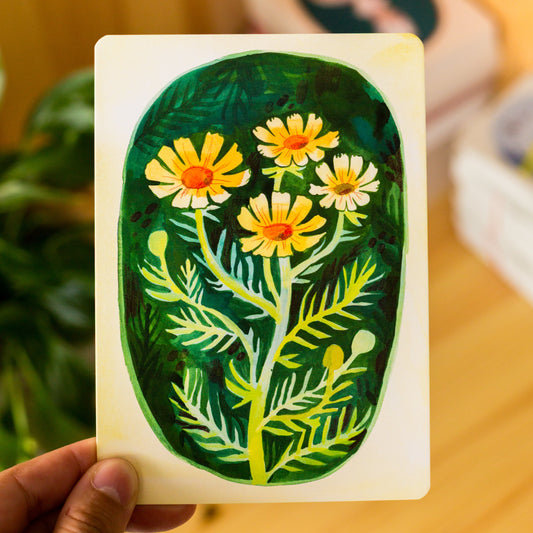 Sada pohlednic — Pohlednice na šířku