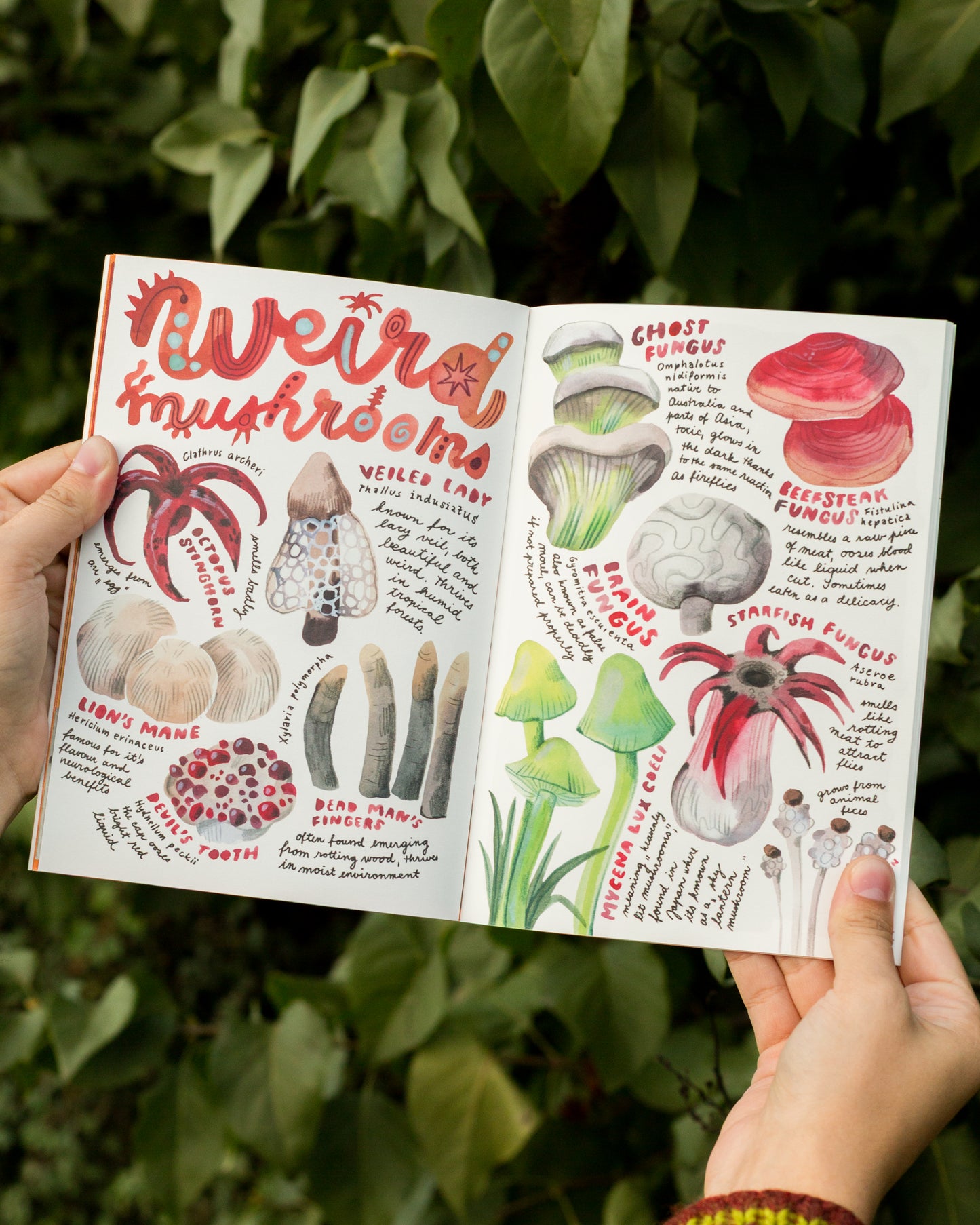 Zine — Autumn Journal