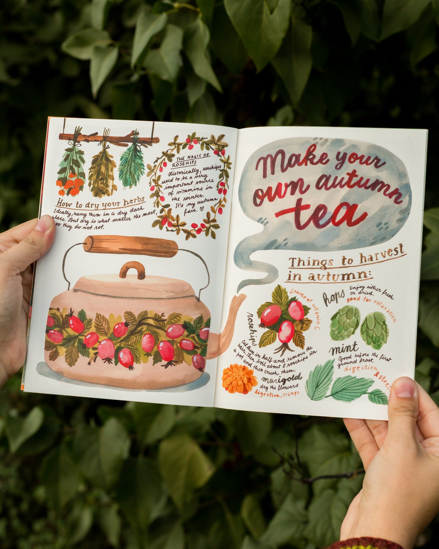 Zine — Autumn Journal