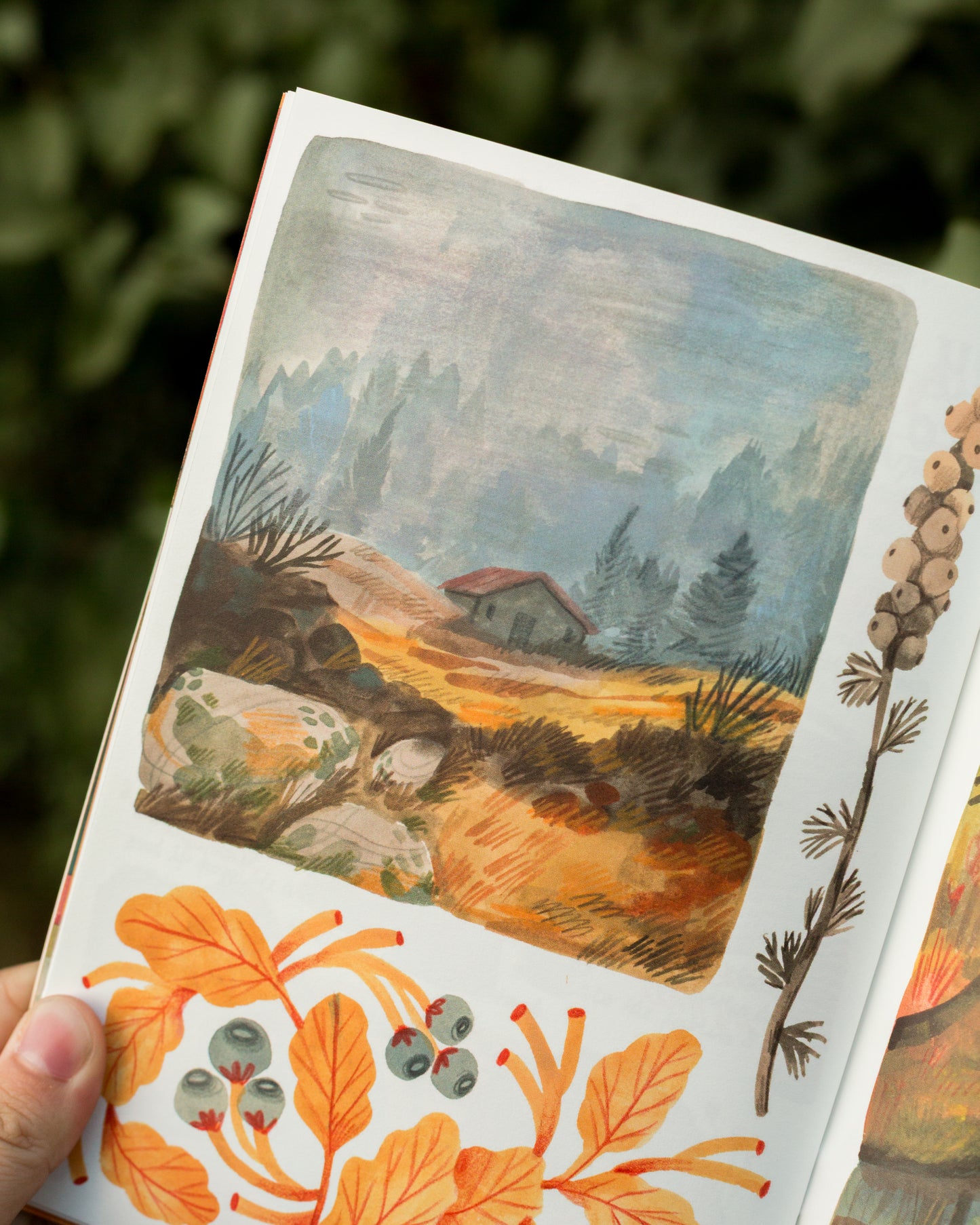 Zine — Autumn Journal