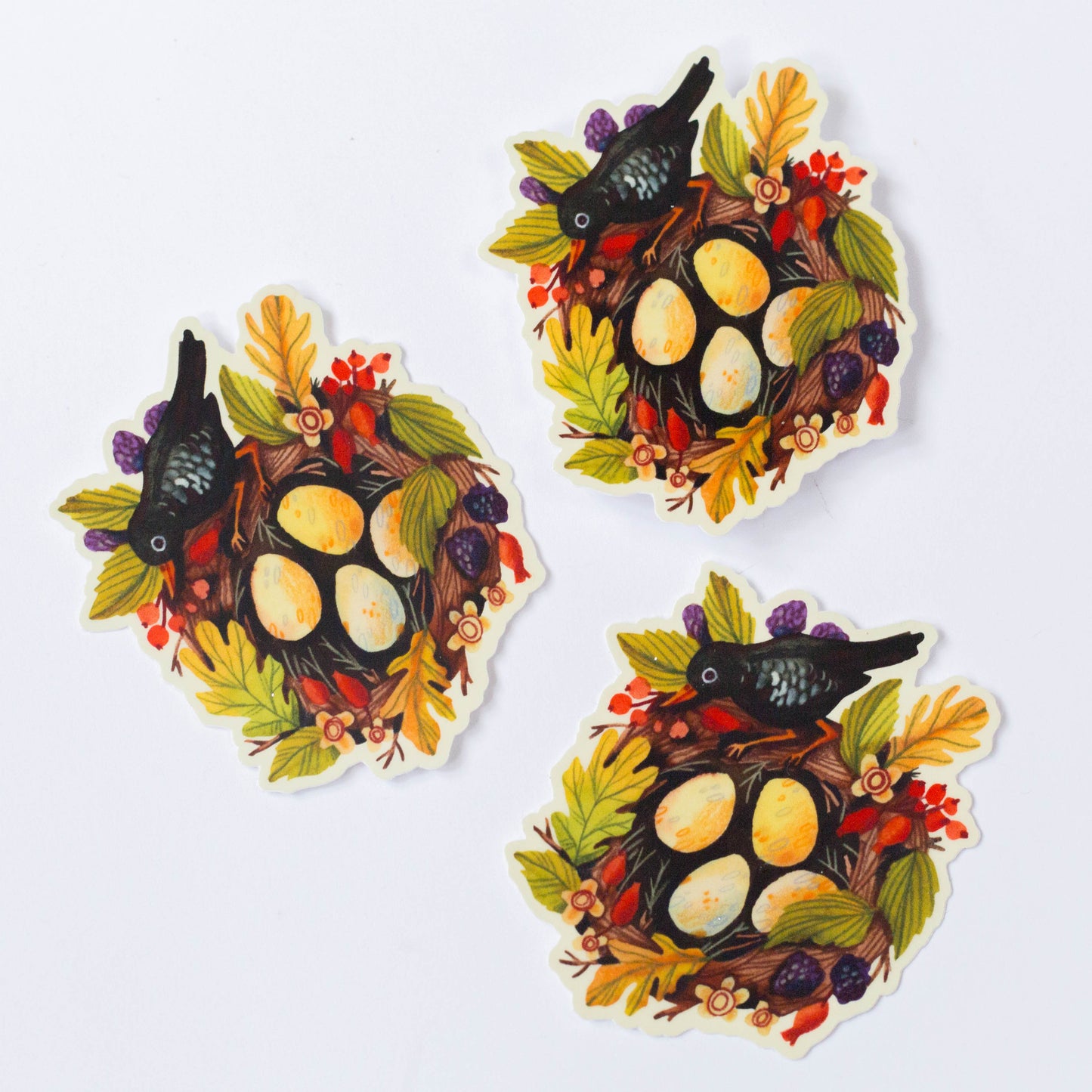 Vinyl sticker — Bird's Nest