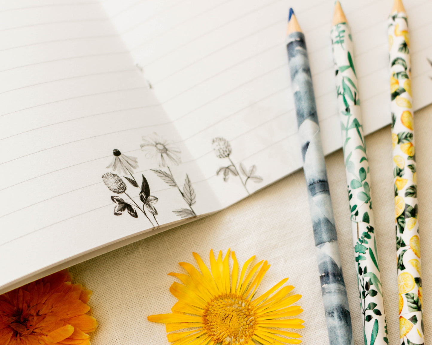 Sešit A5 — Tady rostou nápady