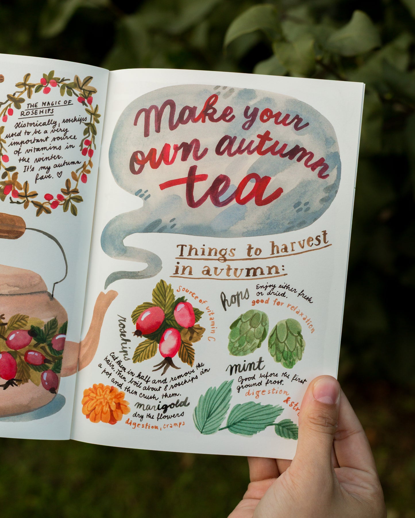 Zine — Autumn Journal