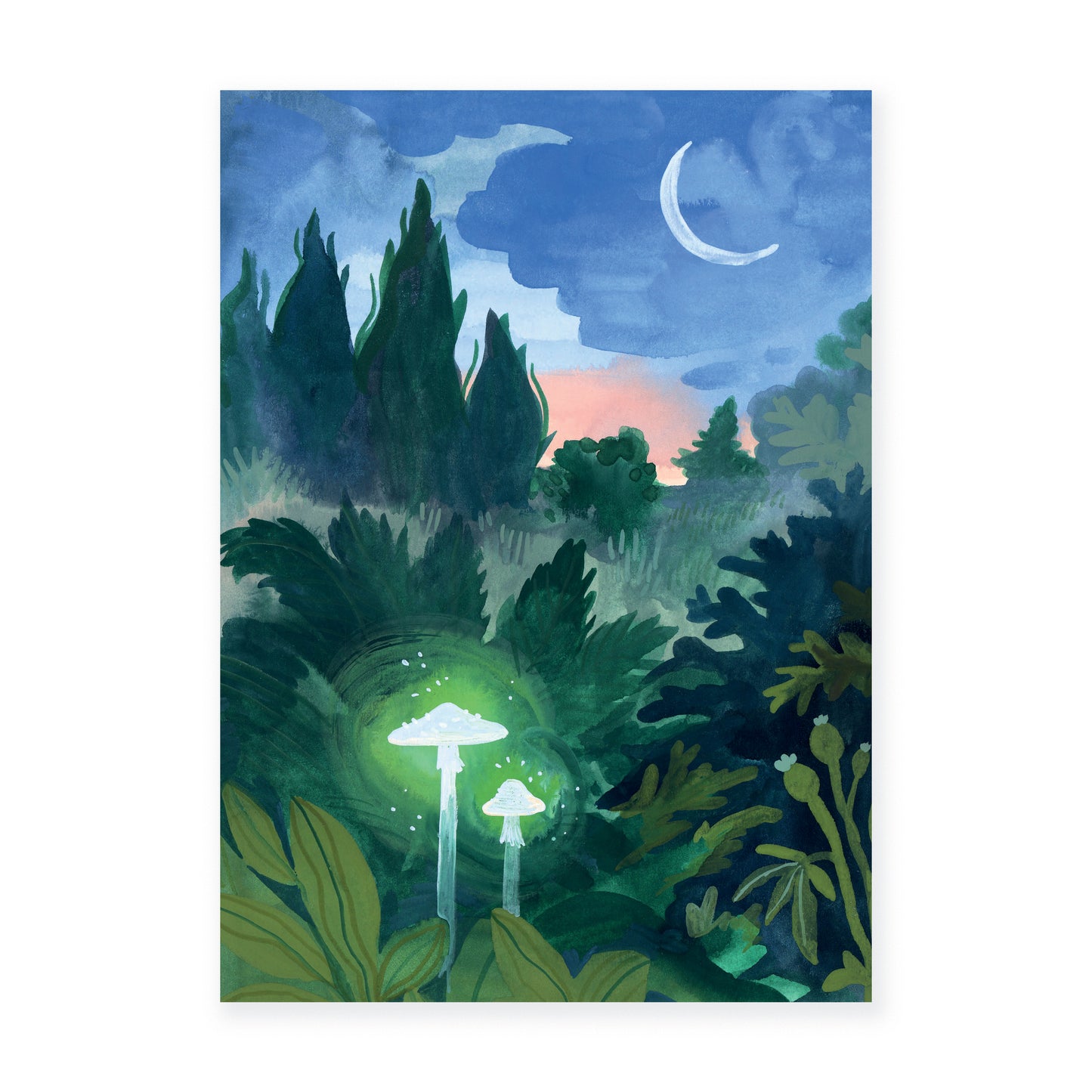 Pohlednice — Čarovné houby