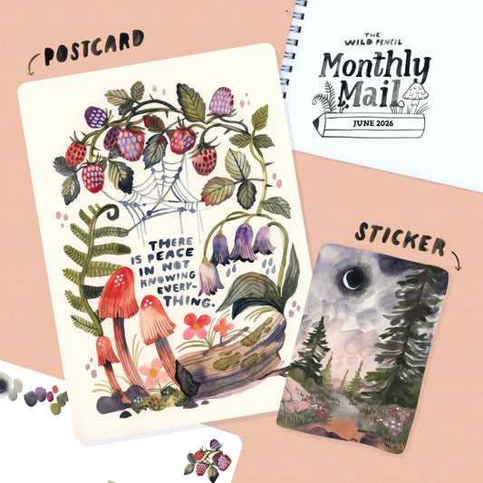 Monthly Postcard and Sticker Subscription