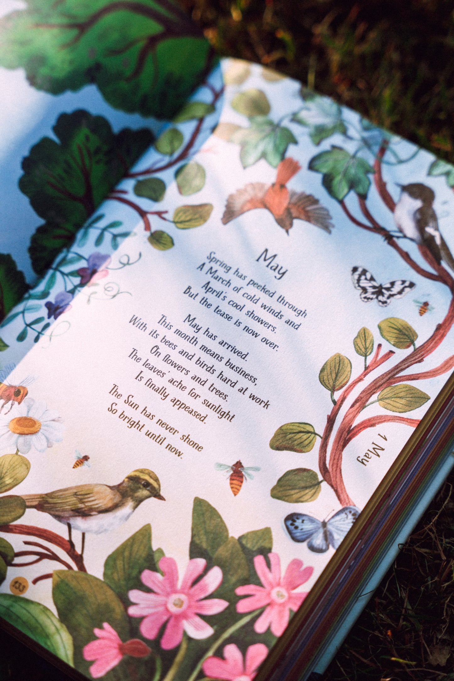 Kniha PŘEDOBJEDNÁVKA — A Year In The Forest