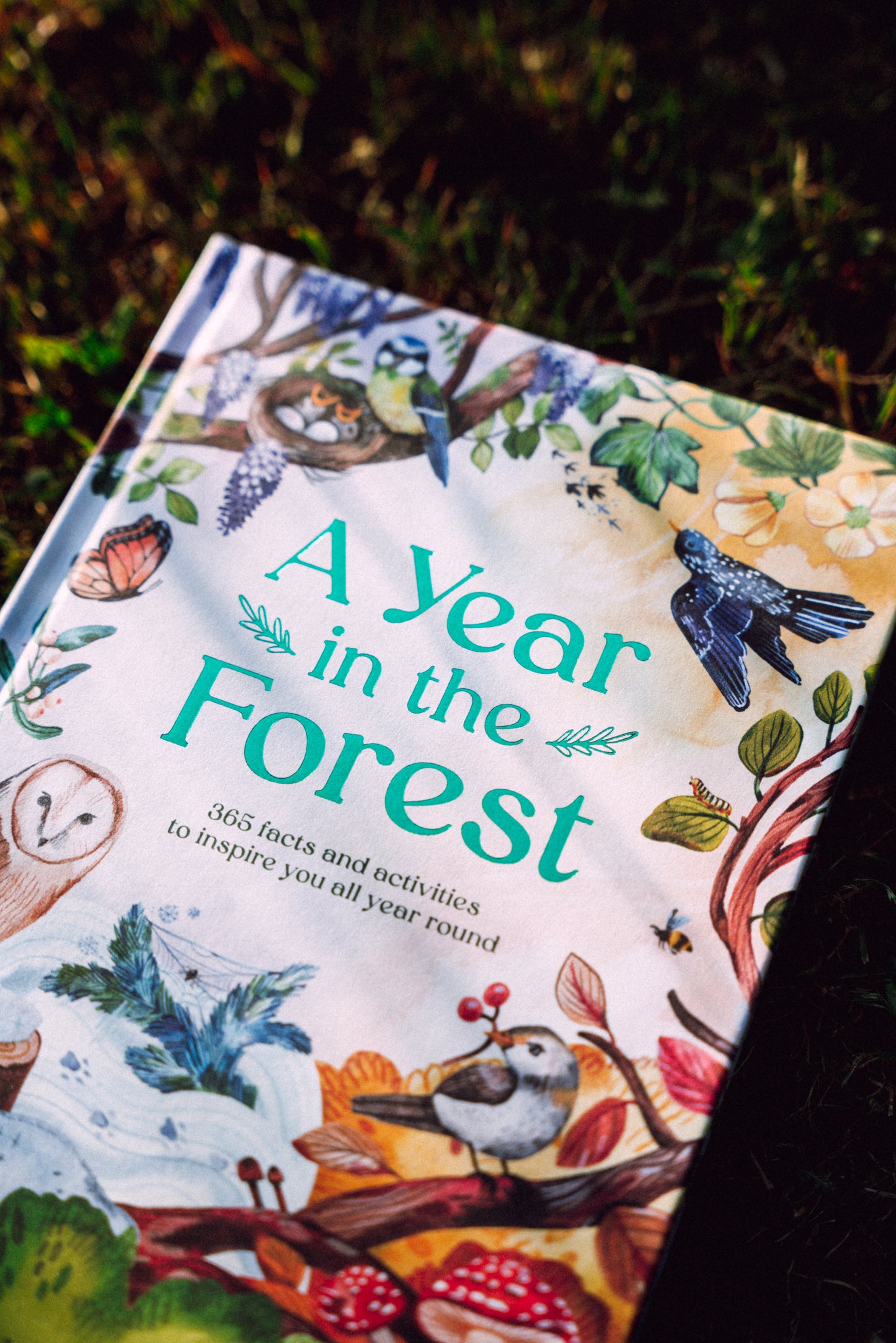 Kniha PŘEDOBJEDNÁVKA — A Year In The Forest