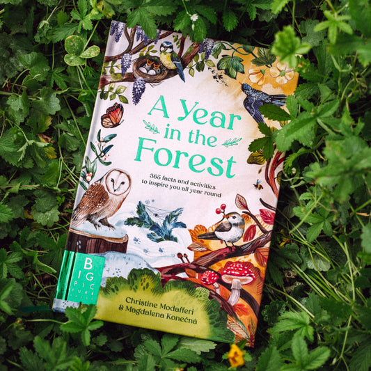 Kniha PŘEDOBJEDNÁVKA — A Year In The Forest