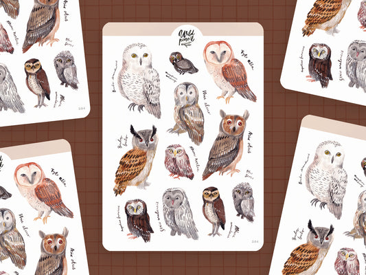 Sticker Sheet — Owls